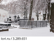 Снежной зимой в Новодевичьем монастыре (2012 год). Стоковое фото, фотограф Павел Широков / Фотобанк Лори
