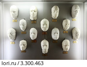 Гипсовые слепки с лиц популярных российских актеров в музее "Мосфильма" (2010 год). Редакционное фото, фотограф Losevsky Pavel / Фотобанк Лори
