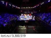Боксёрский ринг, бой Ислам Исмаилов против Филиппа Хрговича, World Series of Boxing (WSB), январь 2011 года. Редакционное фото, фотограф Losevsky Pavel / Фотобанк Лори