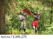 Два рыцаря сражаются в лесу. Стоковое фото, фотограф Яков Филимонов / Фотобанк Лори