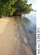 Песчаный пляж острова Cayo Guillermo, Куба (2011 год). Стоковое фото, фотограф Юлия Машкова / Фотобанк Лори