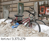 Ждущие весну (2012 год). Редакционное фото, фотограф Сергей Бойков / Фотобанк Лори
