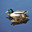 Утки кряквы. Mallard Duck. Стоковое фото, фотограф Татьяна Кахилл / Фотобанк Лори
