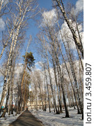 Весенний парк (2012 год). Стоковое фото, фотограф Александр Тараканов / Фотобанк Лори