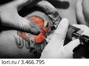 Нанесение татуировки Making of tattoo. Стоковое фото, фотограф Любовь Михайлова / Фотобанк Лори