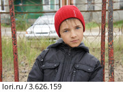 Симпатичный малый. Стоковое фото, фотограф Евгений Мишуров / Фотобанк Лори