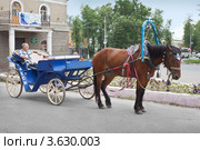 Конное такси на улицах Балахны (2012 год). Редакционное фото, фотограф Александр Романов / Фотобанк Лори
