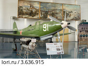 Американский истребитель времён Второй мировой войны Р-63 "Кингкобра" ("Королевская кобра"), музей авиации, пос. Монино, Подмосковье (2012 год). Редакционное фото, фотограф Александр Демин / Фотобанк Лори