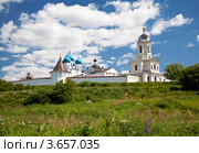 Высоцкий мужской монастырь. Серпухов (2012 год). Стоковое фото, фотограф Наталья Волкова / Фотобанк Лори
