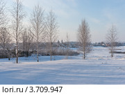 Морозное мартовское утро в Суздале (2012 год). Стоковое фото, фотограф Павел Широков / Фотобанк Лори