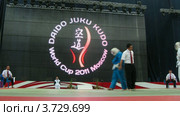 Два спортсмена борятся на Чемпионате мира по Кудо (2011 год). Редакционное видео, видеограф Losevsky Pavel / Фотобанк Лори