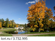 Павловский парк (2008 год). Редакционное фото, фотограф Vladimir Pen / Фотобанк Лори