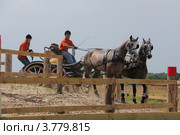 "Окская долина - 2011". Марафон. А. Глинов/Радомир и Сердолик. Редакционное фото, фотограф Устинова Мария / Фотобанк Лори