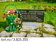 Памятник погибшим в горячих точках. Кохма (2012 год). Редакционное фото, фотограф Александр Романов / Фотобанк Лори