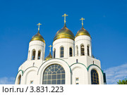 Купола храма Христа Спасителя. Калининград (2012 год). Стоковое фото, фотограф Сергей Трофименко / Фотобанк Лори