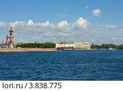 Санкт-Петербург, Ростральные колонны на Васильевском острове (2012 год). Редакционное фото, фотограф ИВА Афонская / Фотобанк Лори