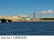 Санкт-Петербург, Васильевский остров, здание Биржи и Ростральные колонны (2012 год). Редакционное фото, фотограф ИВА Афонская / Фотобанк Лори