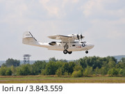 Catalina в полете (2012 год). Редакционное фото, фотограф Alexei Tavix / Фотобанк Лори