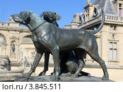 Иль-де-Франс. Замок Шантийи (Château de Chantilly). Бронзовые изваяния охотничьих собак скульптора Огюста Каина на террасе замка (2012 год). Редакционное фото, фотограф Татьяна Лата / Фотобанк Лори