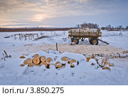 Телега с березовыми чурками. Стоковое фото, фотограф Ольга Денисова / Фотобанк Лори