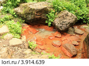 Источник минеральной воды. Стоковое фото, фотограф Rekacy / Фотобанк Лори