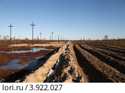 Западная Сибирь. Строительство автомобильной дороги на месторождение нефти (2012 год). Редакционное фото, фотограф Валерий Акулич / Фотобанк Лори