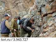 Геологические наблюдения в карьере (2012 год). Редакционное фото, фотограф Александр Игнатов / Фотобанк Лори
