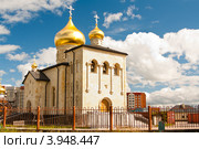 Кириши Ленинградской области. Церковь Рождества Пресвятой Богородицы (2012 год). Редакционное фото, фотограф Алексей Ширманов / Фотобанк Лори