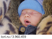 Портрет спящего тепло одетого новорожденного. Стоковое фото, фотограф ivolodina / Фотобанк Лори