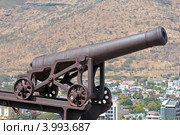 Маврикий. Порт-Луи. Старинная пушка на холме у форта "Аделаида" (2012 год). Стоковое фото, фотограф Александр Тарасенков / Фотобанк Лори
