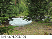 Лесной пейзаж. Махарское ущелье. КЧР. Стоковое фото, фотограф Rekacy / Фотобанк Лори