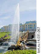 Фонтан Самсон и Большой дворец. Петергоф (2012 год). Редакционное фото, фотограф Александр Щепин / Фотобанк Лори