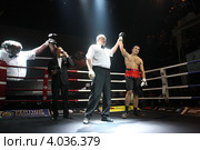 Боксёрский турнир ТАФФАЙТ, победил Михаил  Тютерев (2012 год). Редакционное фото, фотограф Дмитрий Неумоин / Фотобанк Лори