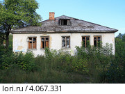 Бесхозный дом среди зарослей. Город Ирбит (2012 год). Стоковое фото, фотограф Анатолий Матвейчук / Фотобанк Лори