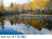 Отражение осенних деревьев и неба в озере. Стоковое фото, фотограф Людмила Долгорукова / Фотобанк Лори