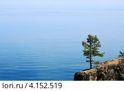 Сосна на байкальской скале. Стоковое фото, фотограф Копылова Ольга Васильевна / Фотобанк Лори