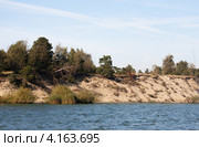 Вид на Куршскую косу со стороны Куршского залива. Вода размывает дюну (2012 год). Редакционное фото, фотограф Михаил Котов / Фотобанк Лори