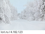 Зимняя дорога в лесу. Стоковое фото, фотограф Кекяляйнен Андрей / Фотобанк Лори