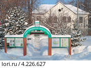 ГПБУ "Управление ООПТ по СЗАО". Москва. Серебряный бор (2013 год). Редакционное фото, фотограф Сергей Соболев / Фотобанк Лори