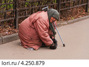 Профессиональная попрошайка на работе (2012 год). Редакционное фото, фотограф Алёшина Оксана / Фотобанк Лори