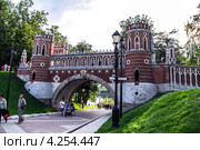 Фигурный мост, усадьба Царицыно, Москва (2010 год). Редакционное фото, фотограф Алексей Стоянов / Фотобанк Лори