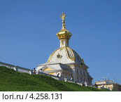 Корпус "Под гербом" в Петергофе (2011 год). Редакционное фото, фотограф Дмитрий Федоров / Фотобанк Лори