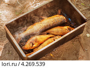 Рыба коптится в коптильне на улице. Стоковое фото, фотограф katalinks / Фотобанк Лори