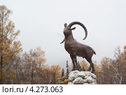 Республика Бурятия, п. Аршан, скульптура горного козла (2012 год). Редакционное фото, фотограф Валерий Лаврушин / Фотобанк Лори