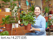 Улыбающаяся женщина средних лет держит горшок с цветком в цветочном магазине. Стоковое фото, фотограф Яков Филимонов / Фотобанк Лори