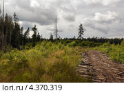 Гать. Стоковое фото, фотограф Александр Степанов / Фотобанк Лори