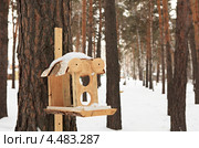 Кормушка для птиц и белок в зимнем лесу. Стоковое фото, фотограф Юлия Машкова / Фотобанк Лори