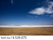 Соленое озеро Баскунчак (2010 год). Редакционное фото, фотограф Алексей Шлыков / Фотобанк Лори
