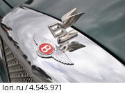 Логотип автомобиля Bentley на капоте ретроавтомобиля. Ралли классических автомобилей клуба РККА на Поклонной горе, Москва (2013 год). Редакционное фото, фотограф lana1501 / Фотобанк Лори