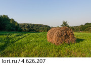 Летний пейзаж рулонами сена в средней полосе России. Стоковое фото, фотограф Горшков Игорь / Фотобанк Лори